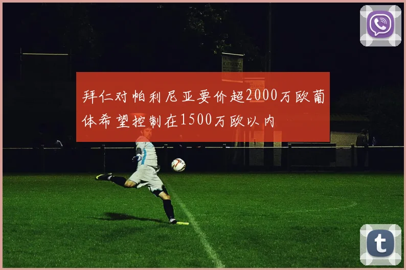 拜仁对帕利尼亚要价超2000万欧葡体希望控制在1500万欧以内