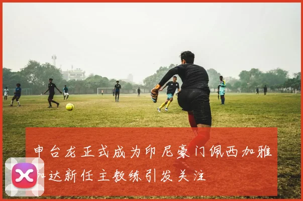 申台龙正式成为印尼豪门佩西加雅加达新任主教练引发关注