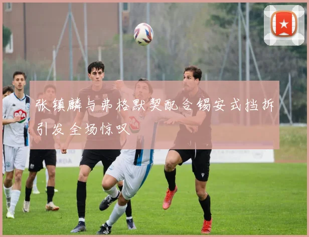 张镇麟与弗格默契配合锡安式挡拆引发全场惊叹