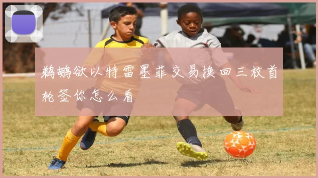 鹈鹕欲以特雷墨菲交易换回三枚首轮签你怎么看