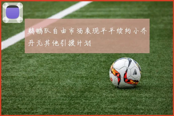 鹈鹕队自由市场表现平平续约小乔丹无其他引援计划